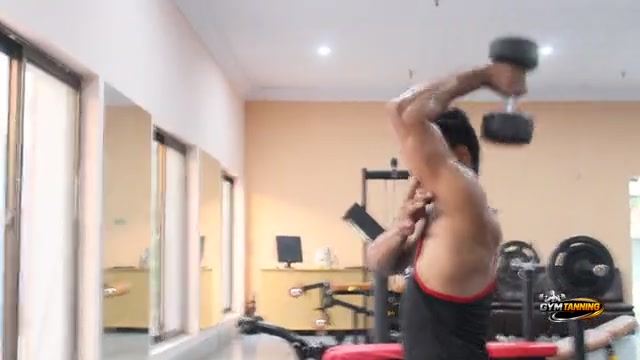 Hypertrophy Mechanisms (Part 19) - Strength Guide