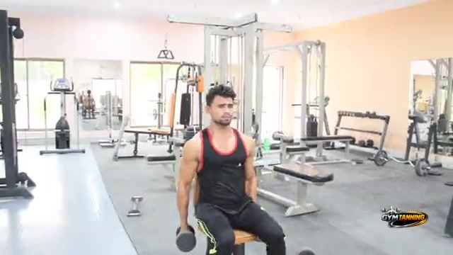 Linear & Wave Periodization (Part 35) Ã¯Â¿Â½ Strength Guide | ..