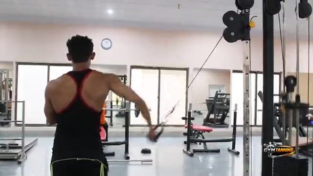 Neural Excitation Warmups (Part 70) Ã¯Â¿Â½ Strength Guide | Gy..